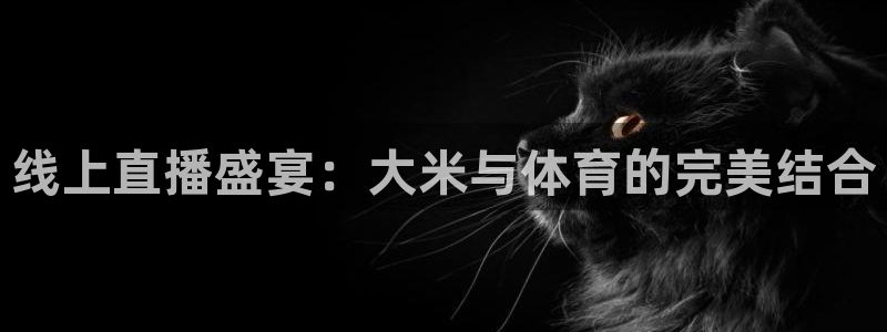 松鼠体育在线直播：线上直播盛宴：大米与体育的完美结合