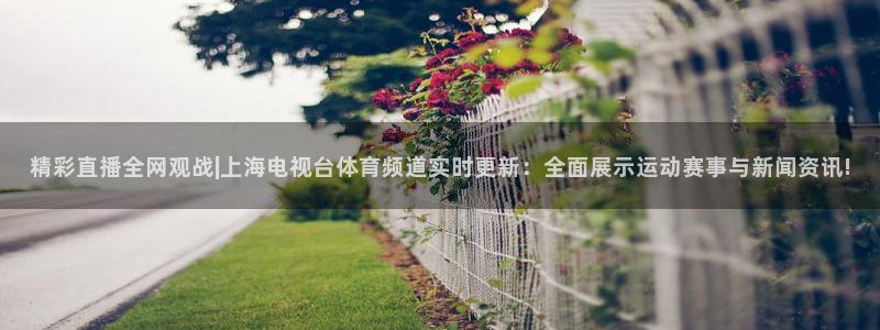 松鼠客户端：精彩直播全网观战|上海电视台体育频道实时更新：全面展示运动赛事与新闻资讯!