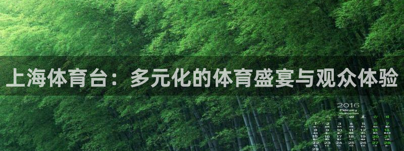 松鼠网官方下载：上海体育台：多元化的体育盛宴与观众体验